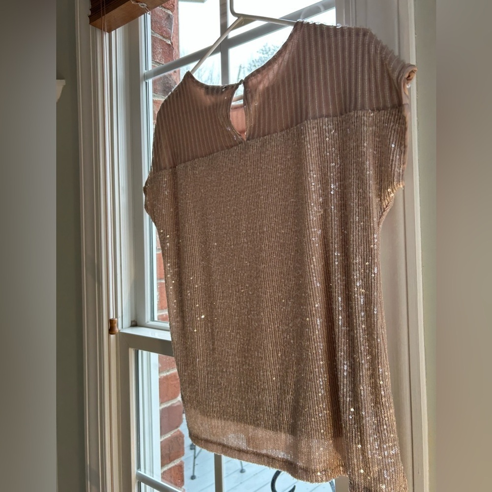 Cable & Gauge Sequins Blouse Womens Medium 24.5 inch length 19 inch pit to pit - Picture 3 of 12